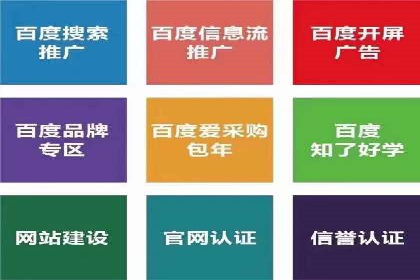 百度平台推广：成功案例解析与效果分析